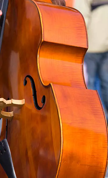 Photo of Contrabass