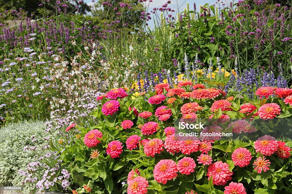 Kräuter und Blumen Garten - Lizenzfrei Alternative Medizin Stock-Foto