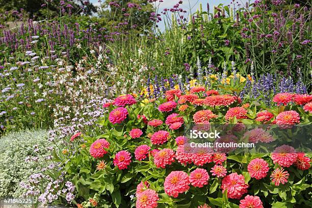 Kräuter Und Blumen Garten Stockfoto und mehr Bilder von Alternative Medizin - Alternative Medizin, Blau, Blume