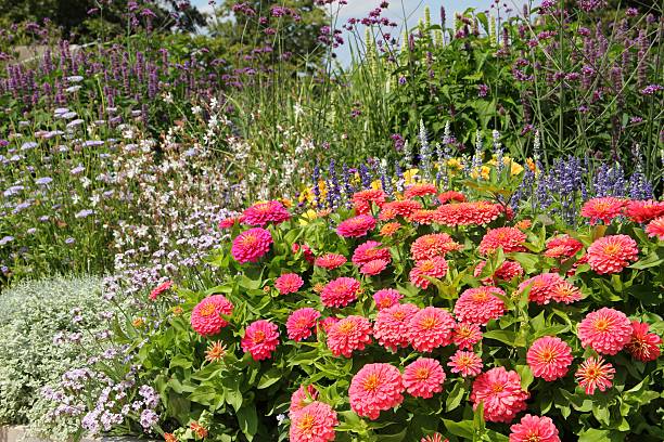 istock Herb and flower garden 471845225
