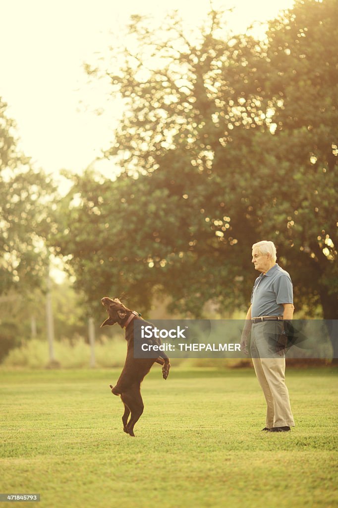 Sênior com cachorro - Foto de stock de Adulto royalty-free