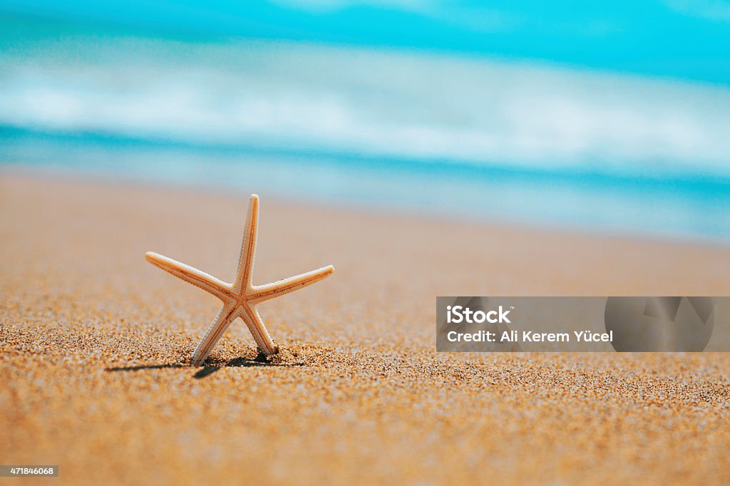tiny starfish on the seashore. summer concept with copy space. A sunny hot summer day. Macro photograph slim white starfish on the sand. Photo's taken from low angle view and behind. Turquoise water and cloudy sky at the background with a shallow depth of field. 2015 Stock Photo