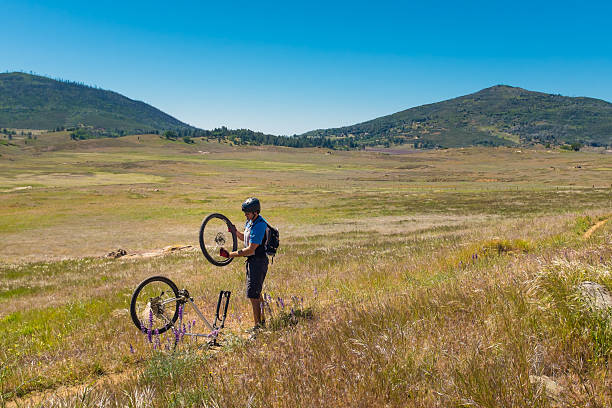 дважды спущенное колесо - bicycle bicycle pump inflating tire стоковые фото и изображения