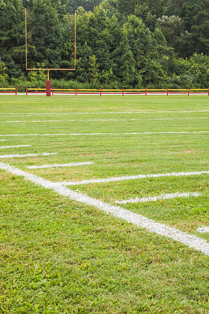 American football field American football field south carolina football stock pictures, royalty-free photos & images