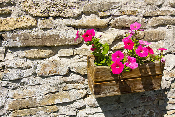 istock Flowers in flowerpot on wall 471847843