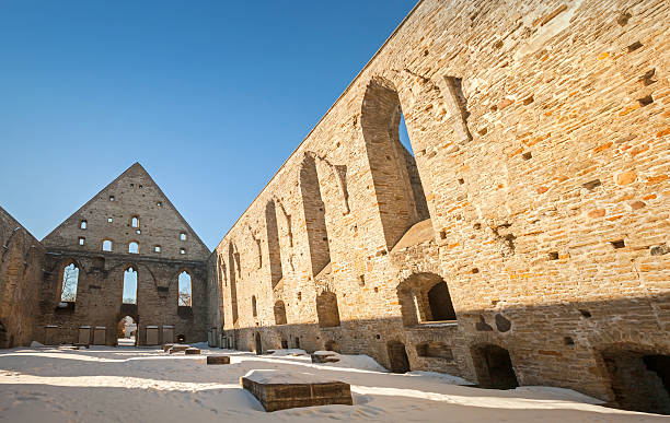 무너진 복음사가 brigitta 수녀원 in 피리타 공간, 에스토니아 탈린 - estonia tallinn old ruin ruined 뉴스 사진 이미지