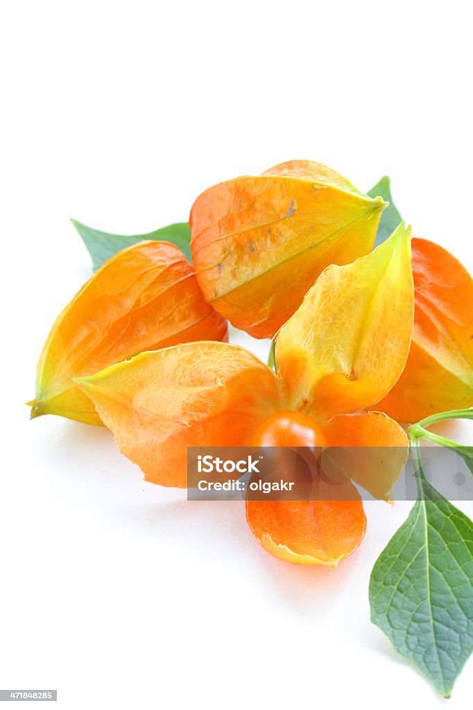 orange physalis Beeren mit grünen Blättern - Lizenzfrei Beere - Obst Stock-Foto