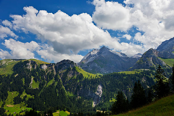 istock Landscape near Lauenensee 471849015