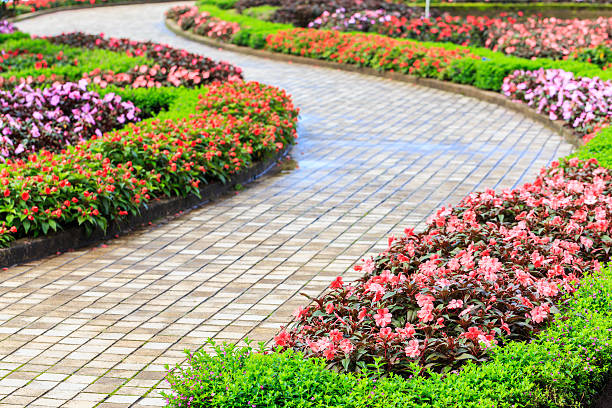 istock curve route and beautiful flower 471849553