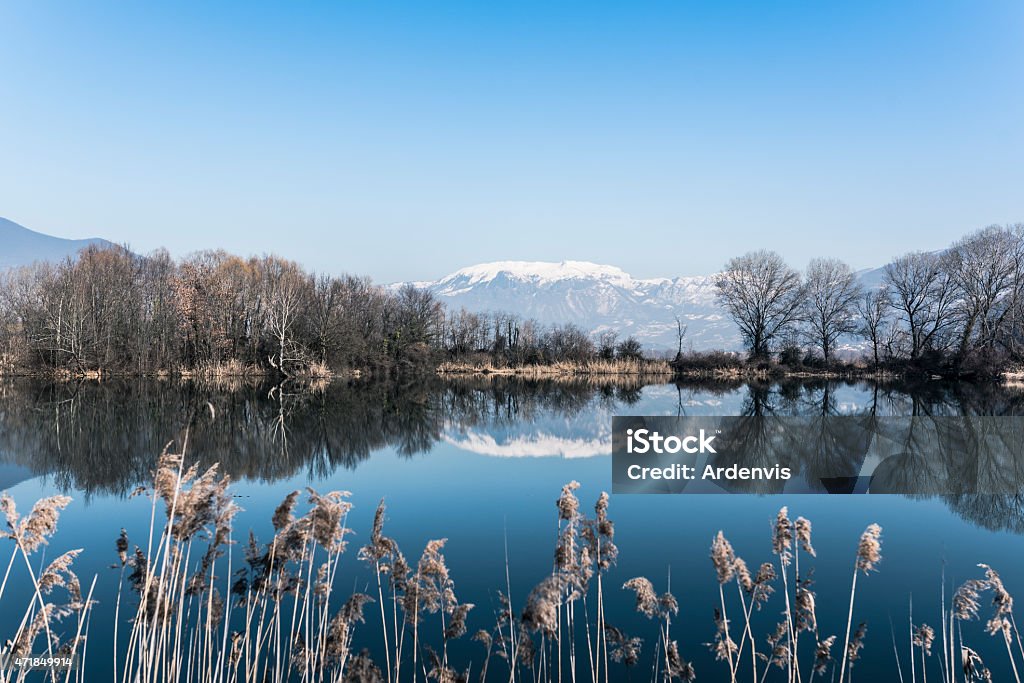 Montagna neve e gli alberi che si riflettono nel lago, Torbiere Sebino - Foto stock royalty-free di 2015