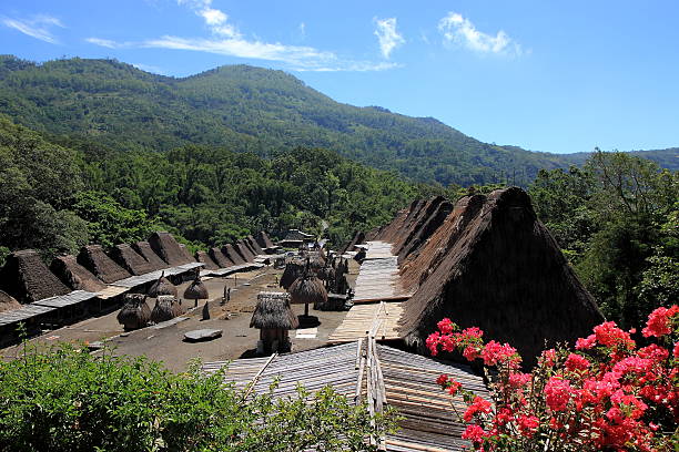 Flores Indonesia - May 03,2013: Beautiful day in Bena traditional Village Flores Indonesia