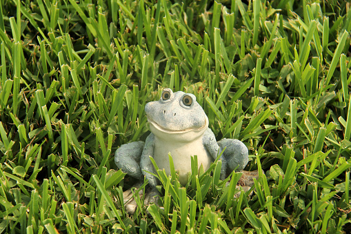 Frog Figure in the Green Grass