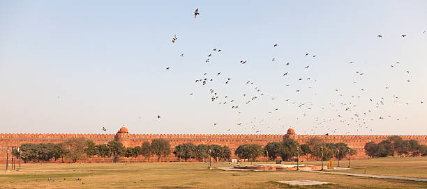 istock birds flying over red fort castle walls new delhi india 471851663