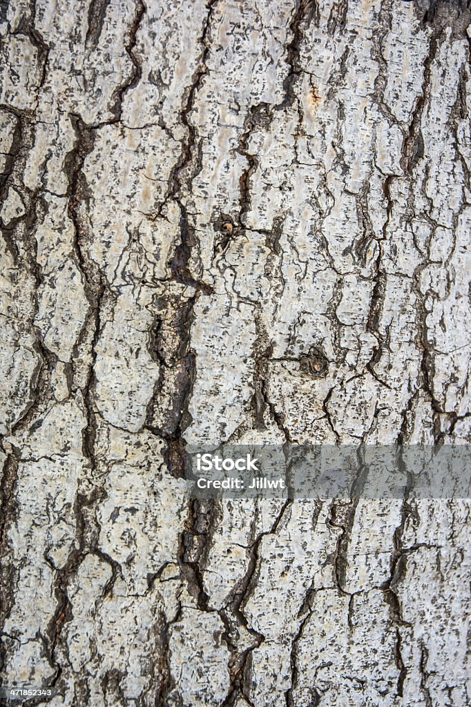 Descanso superficie de madera antiguo - Foto de stock de Abstracto libre de derechos