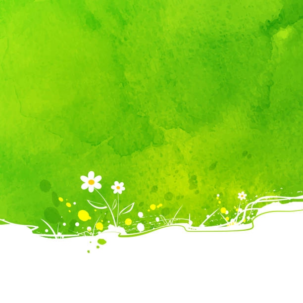 Primarily green background with a few flowers express summer Summer vector background with flowers and watercolor texture. vector illustration and painting spring grass stock illustrations