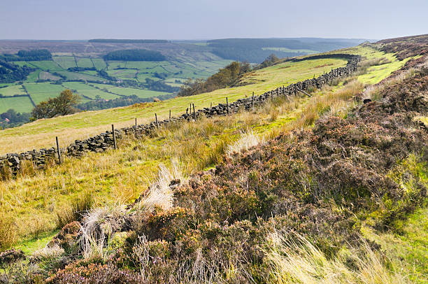 istock Rosedale, North York Moors, England, UK 471855547