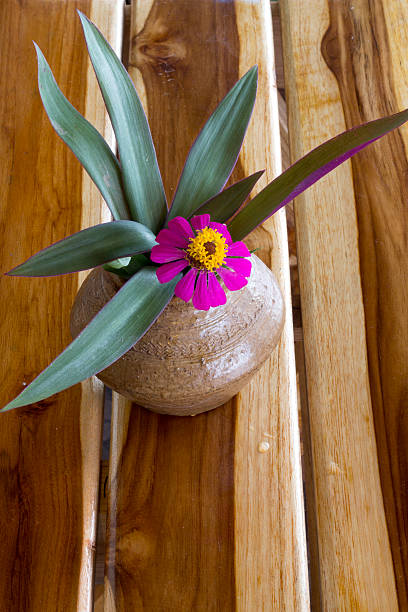 istock Flowers in pots on the table 471856239