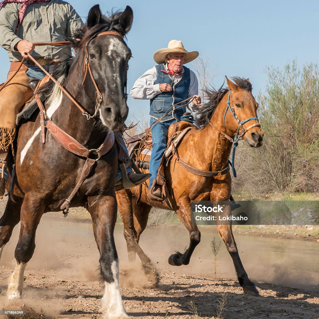 cowboy anziano Cavallo da corsa - Foto stock royalty-free di Bandana - Accessorio personale