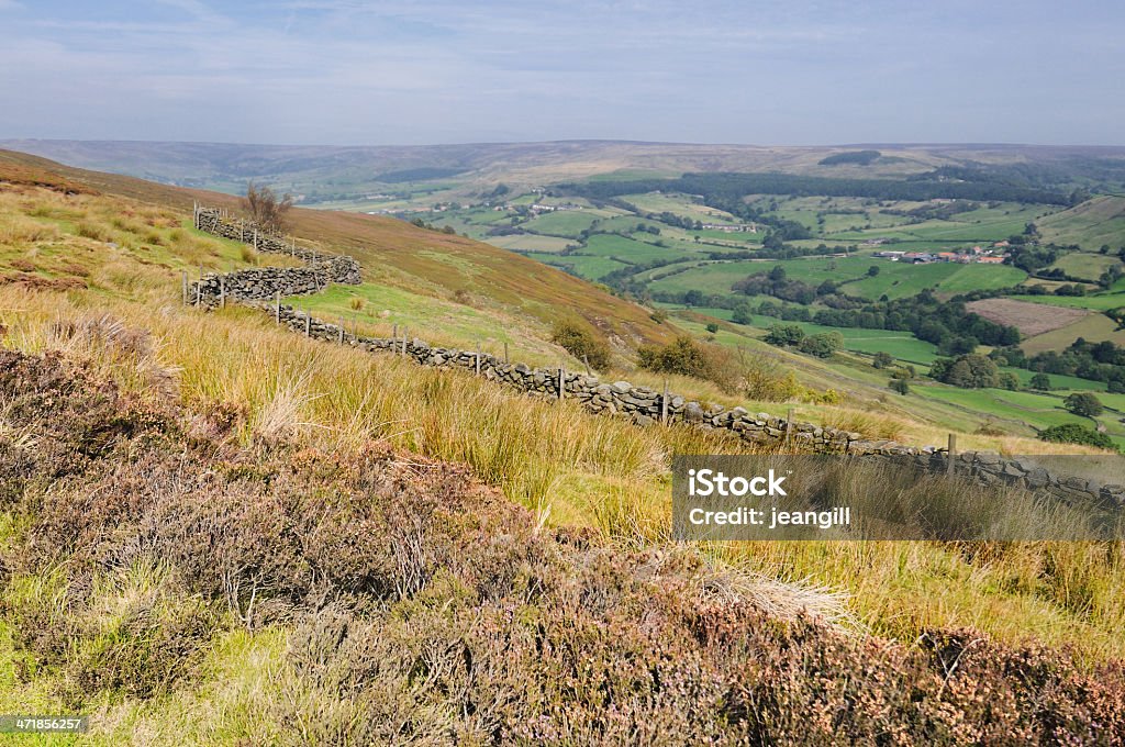 Rosedale, North York Moors, Inglaterra, Reino Unido - Foto de stock de Agricultura libre de derechos