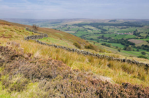 istock Rosedale, North York Moors, England, UK 471856257