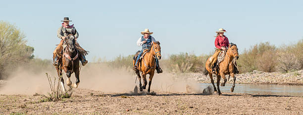 Cowboys on running horses Cowboy family on horses running near river salt river photos stock pictures, royalty-free photos & images