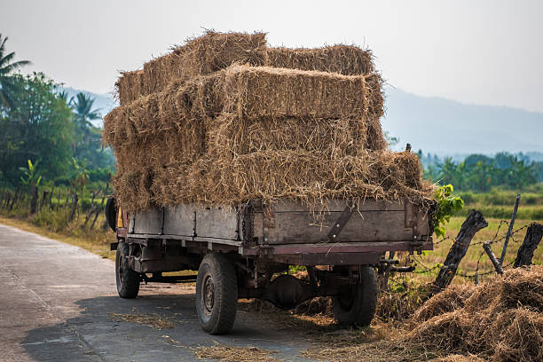 istock Straw Bale,Hay bales on a flatbed truck 471856713