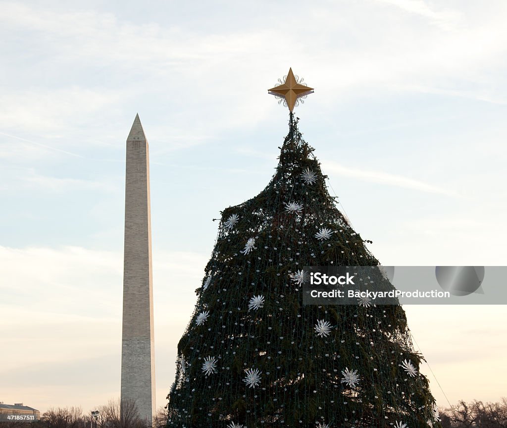 Árbol nacional de Navidad en DC - Foto de stock de Alto - Descripción física libre de derechos