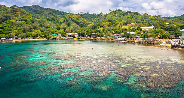 A reef and bay with forest behind, at Roatan, Honduras stock photo