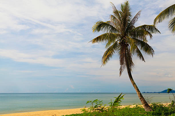 istock Beautiful tropical beach in Thailand 471857797