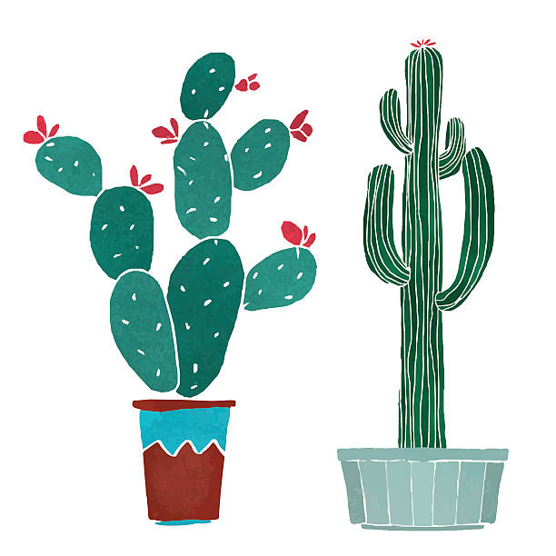 ilustrações, clipart, desenhos animados e ícones de aquarela cactos conjunto - flower pot potted plant cactus single flower