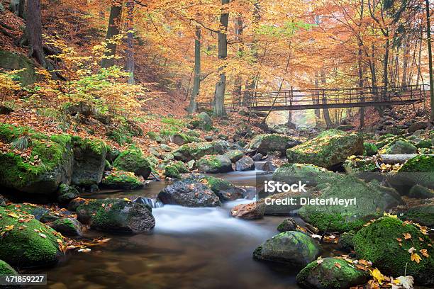 Autumn Leaves Stock Photo - Download Image Now - Great Smoky Mountains National Park, Public Park, Stream - Body of Water