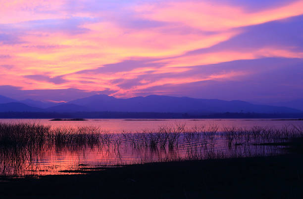 istock Sunset  silhouette tree on the lake 471859561