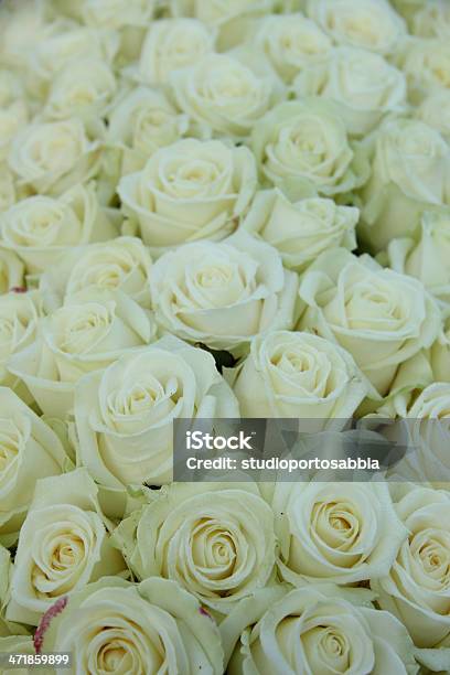 Gruppe Von Weißen Rosen Hochzeit Dekorationen Stockfoto und mehr Bilder von Blumenbouqet - Blumenbouqet, Botanik, Dekoration
