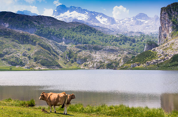 Picos de Europa, Asturias, Spain stock photo