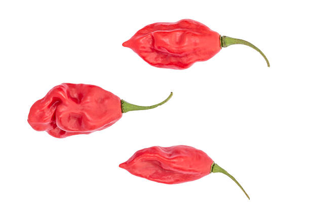 Fresh Scotch bonnet peppers on white background. Four peppers in a row.