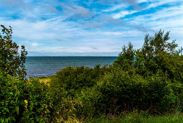 Landscape by the sea stock photo