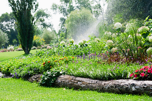 Formal garden with water sprinkler.
