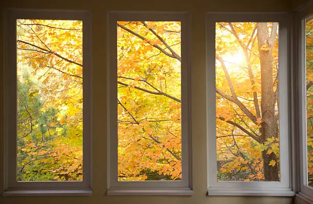 Photo of Autumn scene through porch window screens.