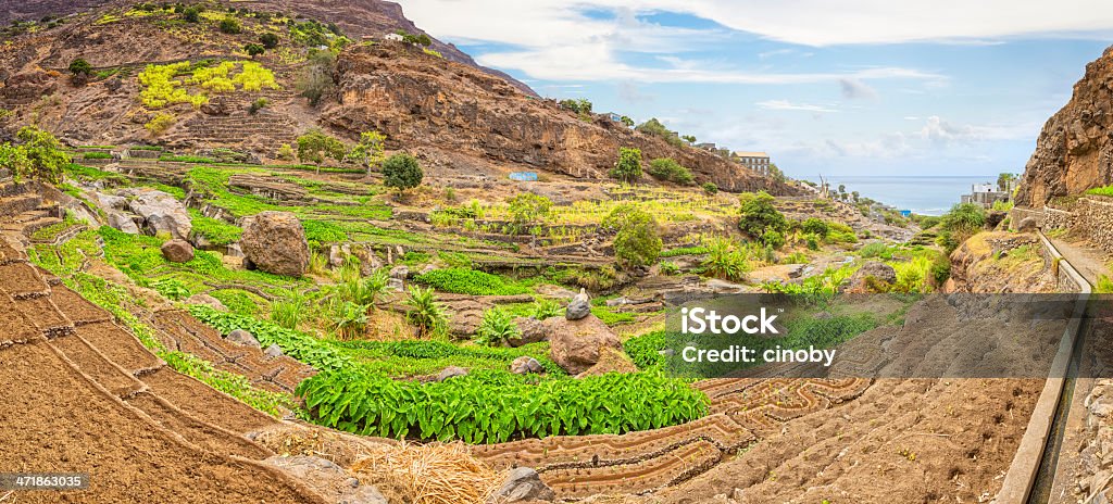 Green valley de Tarrafal de Monte Trigo-Cabo Verde - Foto de stock de Agricultura royalty-free