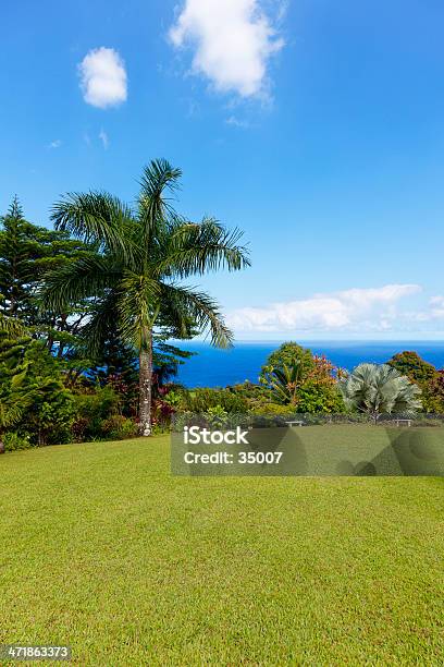 Giardino Di Eden - Fotografie stock e altre immagini di Acqua - Acqua, Albero, Albero tropicale