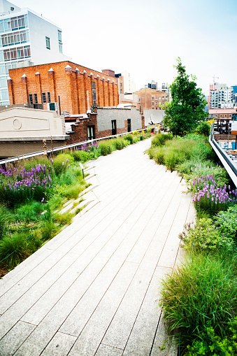 The High Line Park, Chelsea, New York
