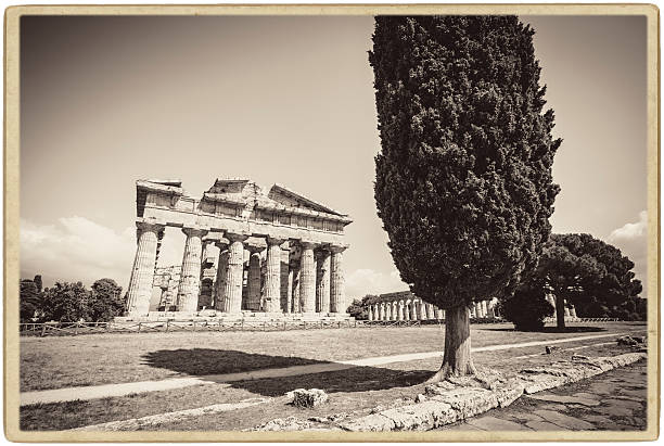 paestum, tempio di nettuno - temple of neptune foto e immagini stock