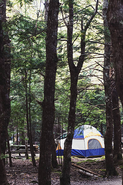 istock Tent Dwellers 471866605