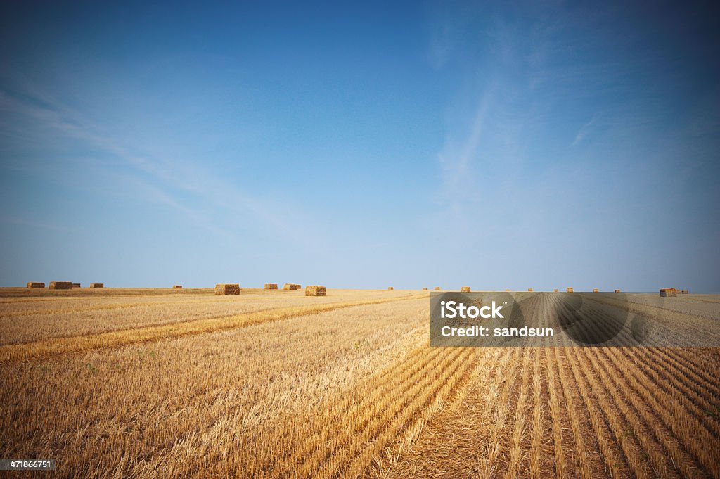 Celeiro - Foto de stock de Agricultura royalty-free