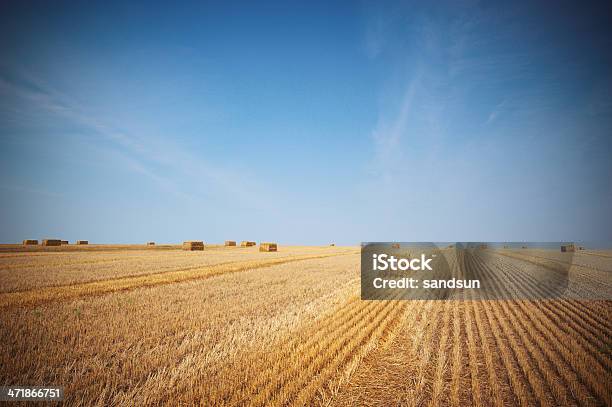 Foto de Celeiro e mais fotos de stock de Agricultura - Agricultura, Ajardinado, Amarelo