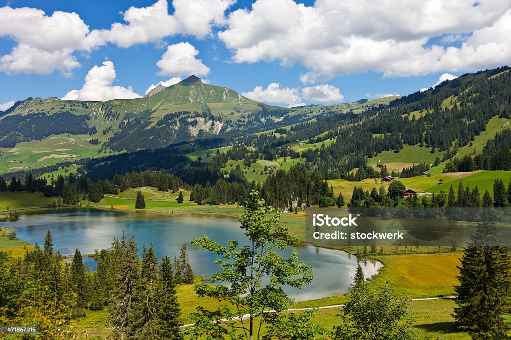 Lauenensee - Foto stock royalty-free di Acqua