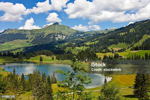 Lauenensee - Fotografie stock e altre immagini di Acqua - Acqua, Albero, Alpi