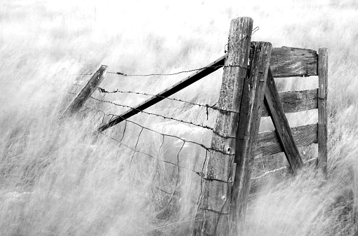 An old fence on the plains. Long exposure and plenty of wind to produce texture.