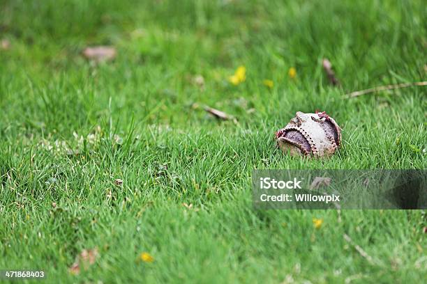 Photo libre de droit de Déchiqueté Cuir Baseball Au Début Du Printemps banque d'images et plus d'images libres de droit de Accident et désastre - Accident et désastre, Balle de baseball, Balle ou ballon