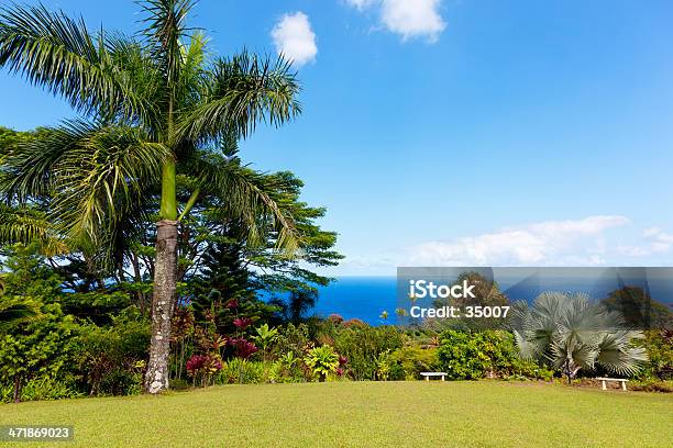 Jardim De Eden - Fotografias de stock e mais imagens de Ao Ar Livre - Ao Ar Livre, Azul, Beleza natural